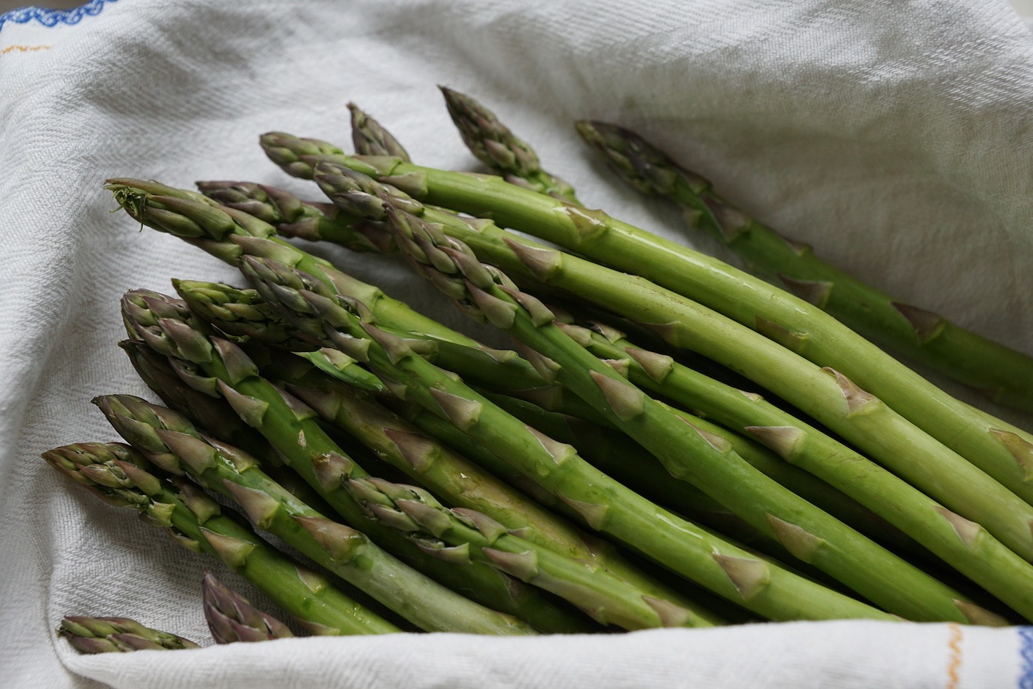 Fresh Asparagus Tips