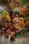 Raw Chestnuts in Their Shells