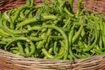 String Bean / Green Bean Recipes