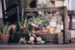 basket of vegetables