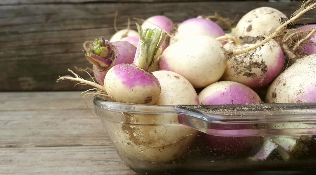 bowl of turnips