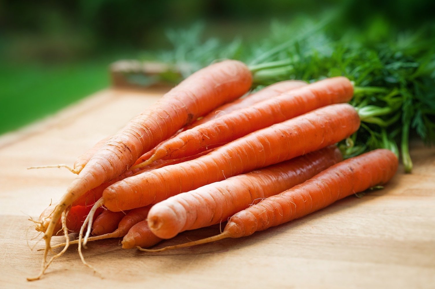A bunch of raw, young carrots with tops