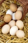 fresh eggs in straw