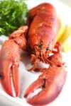lobster on dinner plate
