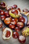 Chestnuts, some in the shell