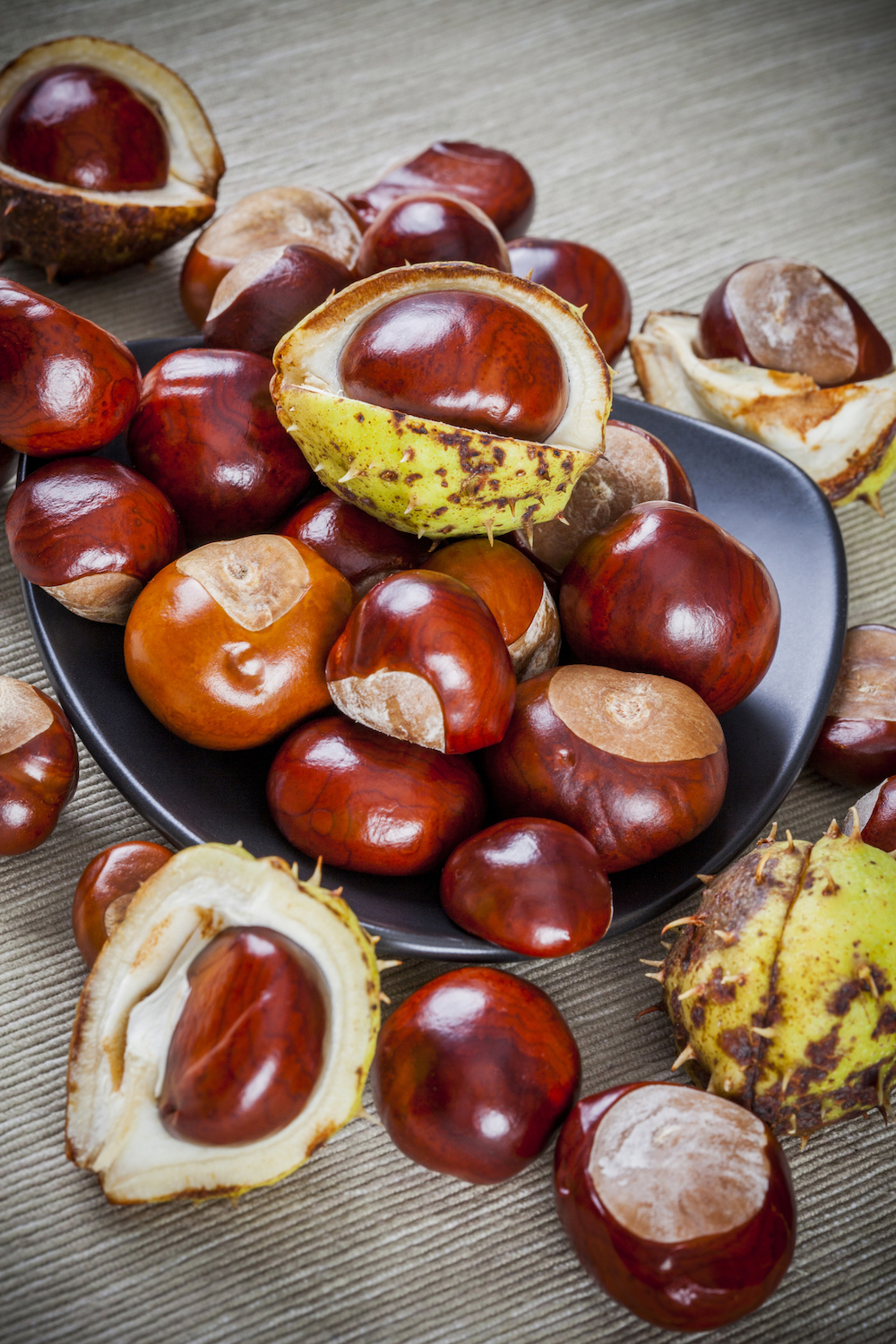 Chestnuts and Ways to Cook Them - Vintage Recipes and Cookery