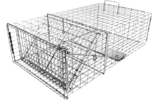 Turtle trap for sale on Amazon