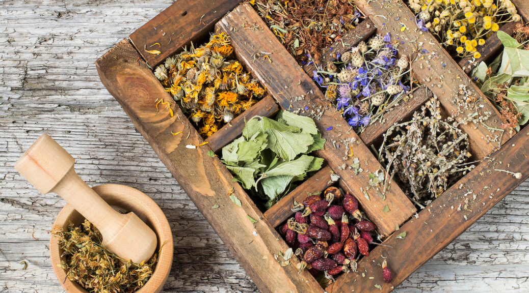Variety of herbs to use for illnesses