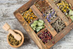 Variety of herbs to use for illnesses