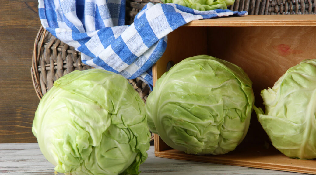 Cabbages on table