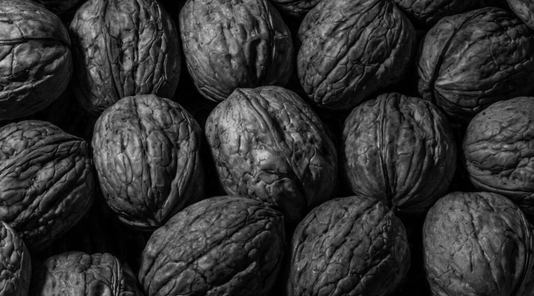 Black Walnuts in the shell